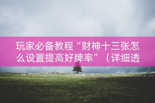 玩家必备教程“财神十三张怎么设置提高好牌率”（详细透视教程）-哔哩哔哩