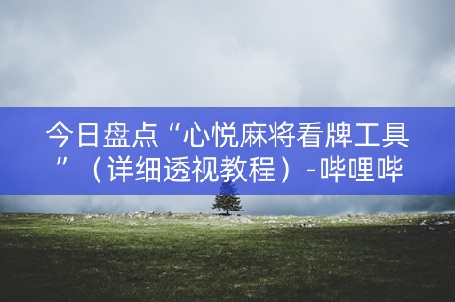 今日盘点“心悦麻将看牌工具”（详细透视教程）-哔哩哔哩