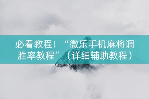 必看教程！“微乐手机麻将调胜率教程”（详细辅助教程）-哔哩哔哩