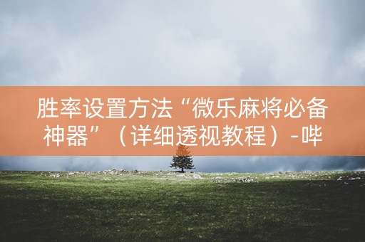 胜率设置方法“微乐麻将必备神器”（详细透视教程）-哔哩哔哩