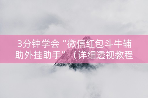 3分钟学会“微信红包斗牛辅助外挂助手”（详细透视教程）-哔哩哔哩