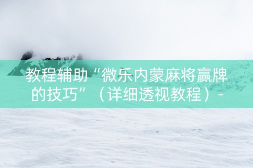 教程辅助“微乐内蒙麻将赢牌的技巧”（详细透视教程）-哔哩哔哩
