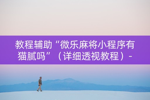 教程辅助“微乐麻将小程序有猫腻吗”（详细透视教程）-哔哩哔哩