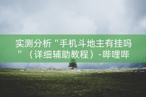 实测分析“手机斗地主有挂吗”（详细辅助教程）-哔哩哔哩
