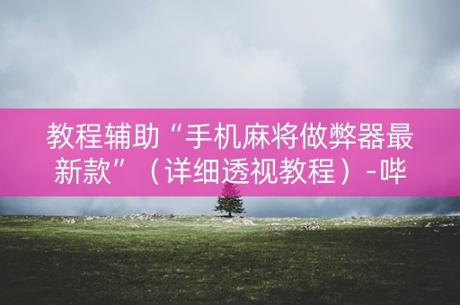 教程辅助“手机麻将做弊器最新款”（详细透视教程）-哔哩哔哩
