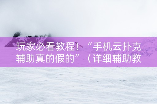 玩家必看教程！“手机云扑克辅助真的假的”（详细辅助教程）-哔哩哔哩