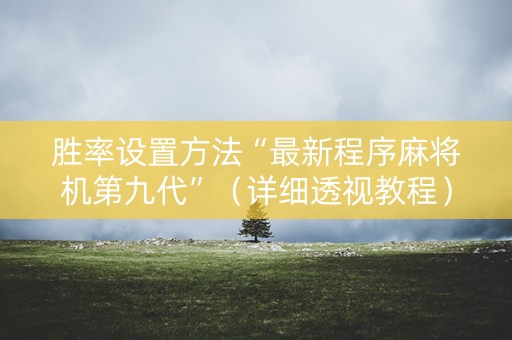 胜率设置方法“最新程序麻将机第九代”（详细透视教程）-哔哩哔哩