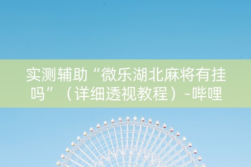 实测辅助“微乐湖北麻将有挂吗”（详细透视教程）-哔哩哔哩