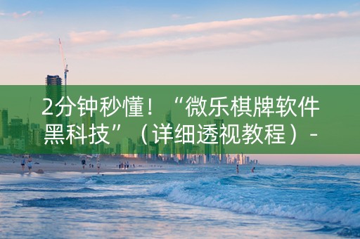 2分钟秒懂！“微乐棋牌软件黑科技”（详细透视教程）-哔哩哔哩
