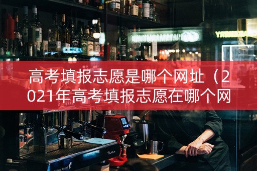 高考填报志愿是哪个网址（2021年高考填报志愿在哪个网站）