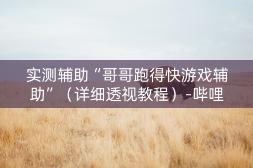 实测辅助“哥哥跑得快游戏辅助”（详细透视教程）-哔哩哔哩