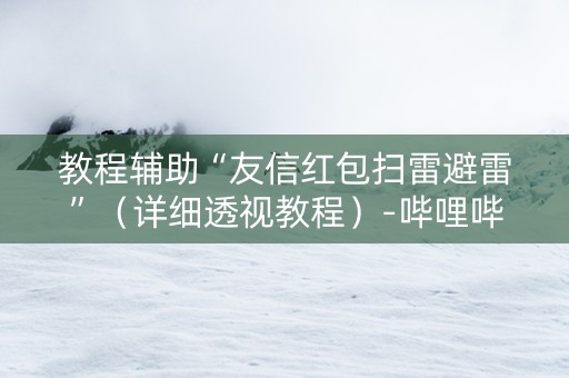 教程辅助“友信红包扫雷避雷”（详细透视教程）-哔哩哔哩