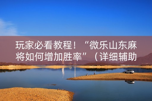 玩家必看教程！“微乐山东麻将如何增加胜率”（详细辅助教程）-哔哩哔哩