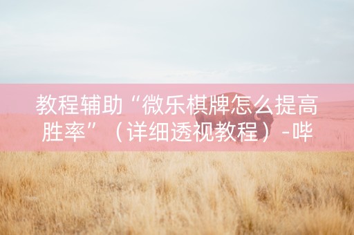 教程辅助“微乐棋牌怎么提高胜率”（详细透视教程）-哔哩哔哩