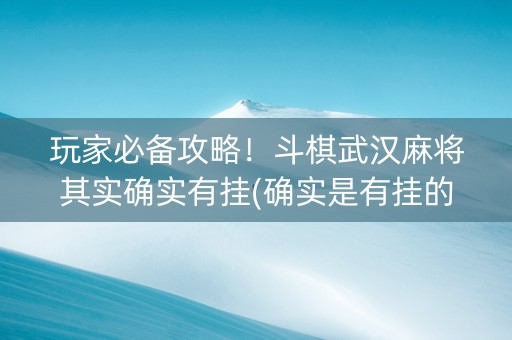 玩家必备攻略！斗棋武汉麻将其实确实有挂(确实是有挂的)