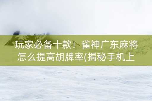 玩家必备十款！雀神广东麻将怎么提高胡牌率(揭秘手机上提高赢的概率)
