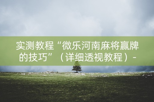 实测教程“微乐河南麻将赢牌的技巧”（详细透视教程）-哔哩哔哩