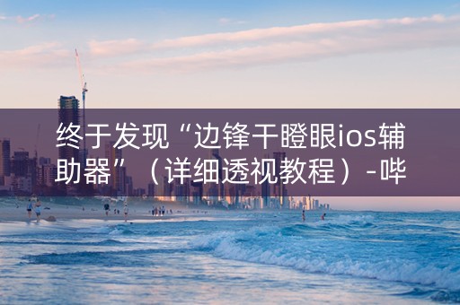 终于发现“边锋干瞪眼ios辅助器”（详细透视教程）-哔哩哔哩