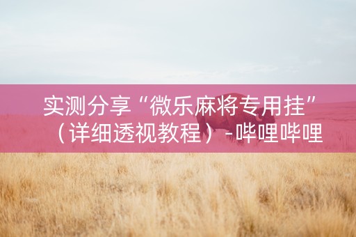 实测分享“微乐麻将专用挂”（详细透视教程）-哔哩哔哩