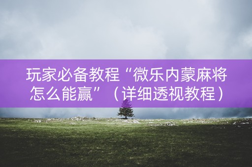 玩家必备教程“微乐内蒙麻将怎么能赢”（详细透视教程）-哔哩哔哩