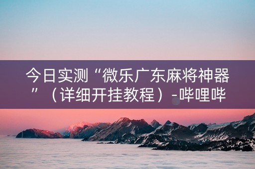 今日实测“微乐广东麻将神器”（详细开挂教程）-哔哩哔哩