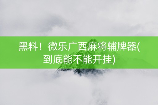 黑料！微乐广西麻将辅牌器(到底能不能开挂)