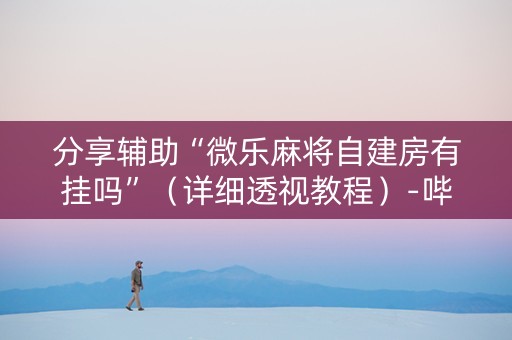 分享辅助“微乐麻将自建房有挂吗”（详细透视教程）-哔哩哔哩