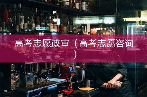 高考志愿政审（高考志愿咨询）