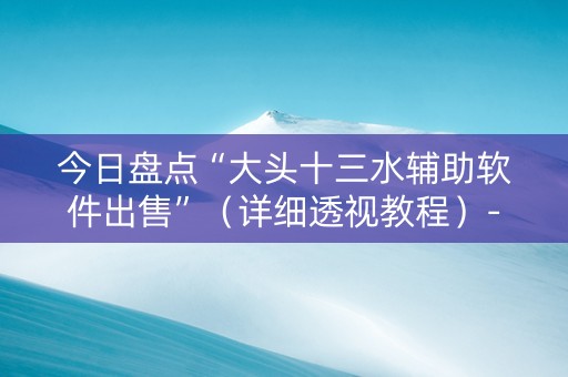 今日盘点“大头十三水辅助软件出售”（详细透视教程）-哔哩哔哩
