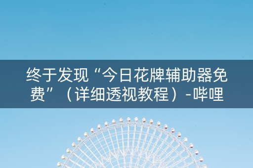 终于发现“今日花牌辅助器免费”（详细透视教程）-哔哩哔哩