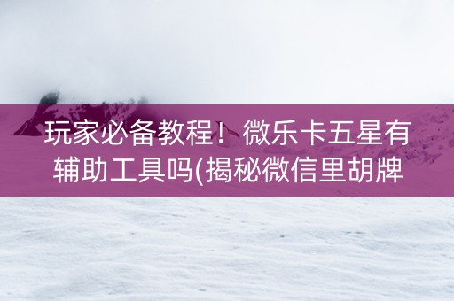 玩家必备教程！微乐卡五星有辅助工具吗(揭秘微信里胡牌技巧)
