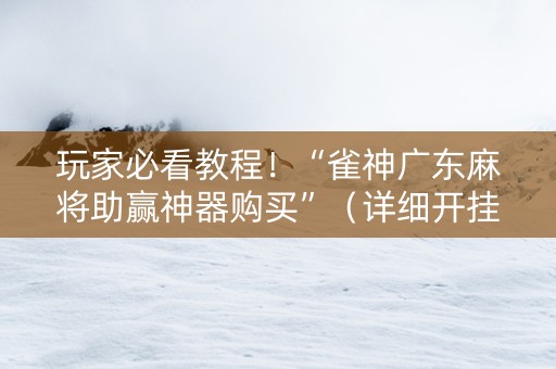 玩家必看教程！“雀神广东麻将助赢神器购买”（详细开挂教程）-哔哩哔哩