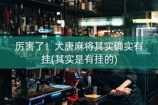 厉害了！大唐麻将其实确实有挂(其实是有挂的)
