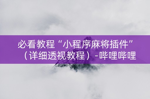 必看教程“小程序麻将插件”（详细透视教程）-哔哩哔哩