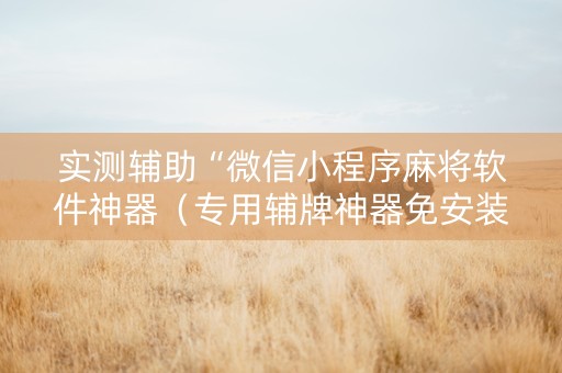 实测辅助“微信小程序麻将软件神器（专用辅牌神器免安装）