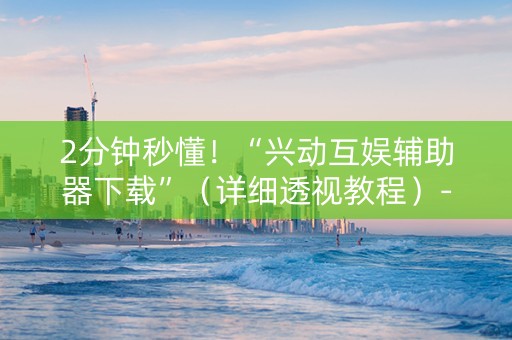 2分钟秒懂！“兴动互娱辅助器下载”（详细透视教程）-哔哩哔哩