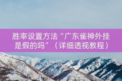 胜率设置方法“广东雀神外挂是假的吗”（详细透视教程）-哔哩哔哩