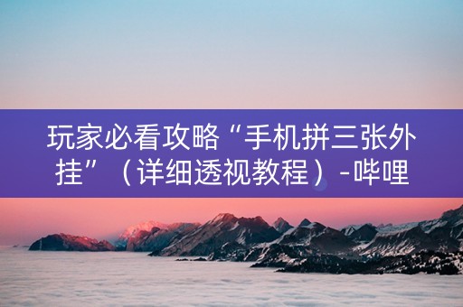 玩家必看攻略“手机拼三张外挂”（详细透视教程）-哔哩哔哩
