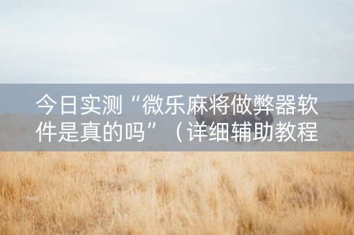 今日实测“微乐麻将做弊器软件是真的吗”（详细辅助教程）-哔哩哔哩