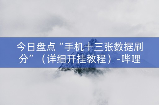 今日盘点“手机十三张数据刷分”（详细开挂教程）-哔哩哔哩