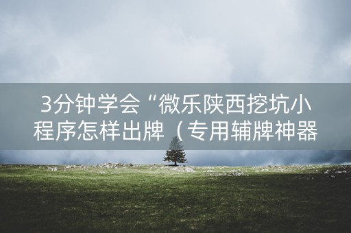 3分钟学会“微乐陕西挖坑小程序怎样出牌（专用辅牌神器免安装）