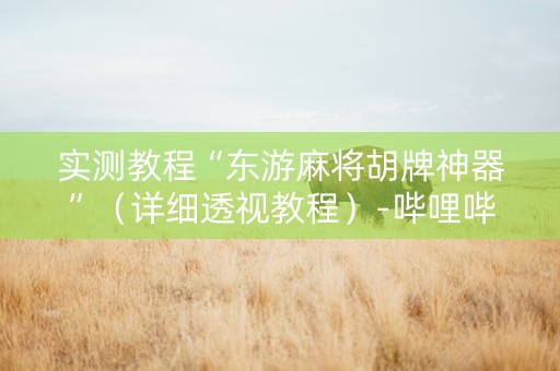 实测教程“东游麻将胡牌神器”（详细透视教程）-哔哩哔哩