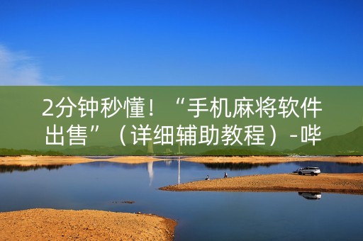 2分钟秒懂！“手机麻将软件出售”（详细辅助教程）-哔哩哔哩
