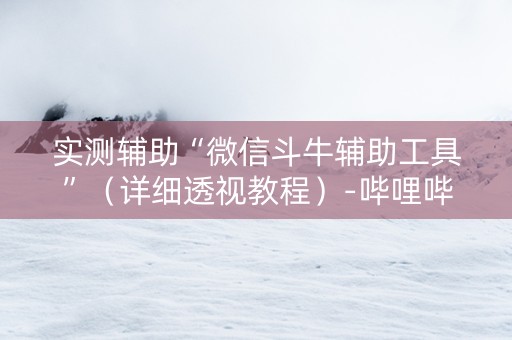 实测辅助“微信斗牛辅助工具”（详细透视教程）-哔哩哔哩
