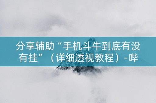 分享辅助“手机斗牛到底有没有挂”（详细透视教程）-哔哩哔哩