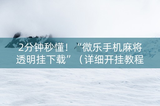 2分钟秒懂！“微乐手机麻将透明挂下载”（详细开挂教程）-哔哩哔哩