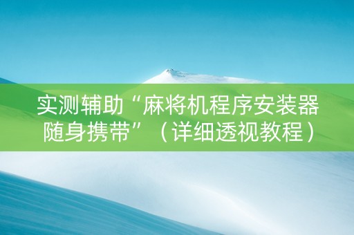 实测辅助“麻将机程序安装器随身携带”（详细透视教程）-哔哩哔哩