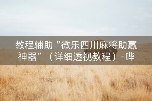 教程辅助“微乐四川麻将助赢神器”（详细透视教程）-哔哩哔哩