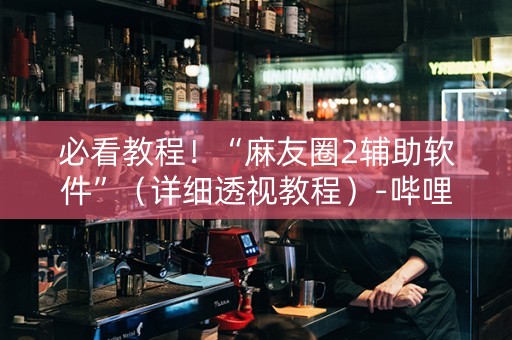 必看教程！“麻友圈2辅助软件”（详细透视教程）-哔哩哔哩