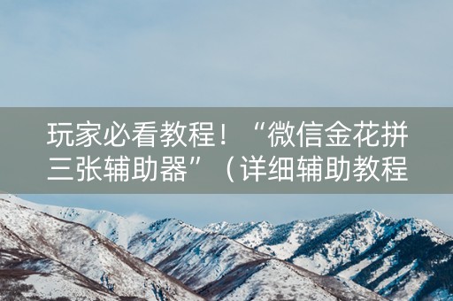 玩家必看教程！“微信金花拼三张辅助器”（详细辅助教程）-哔哩哔哩